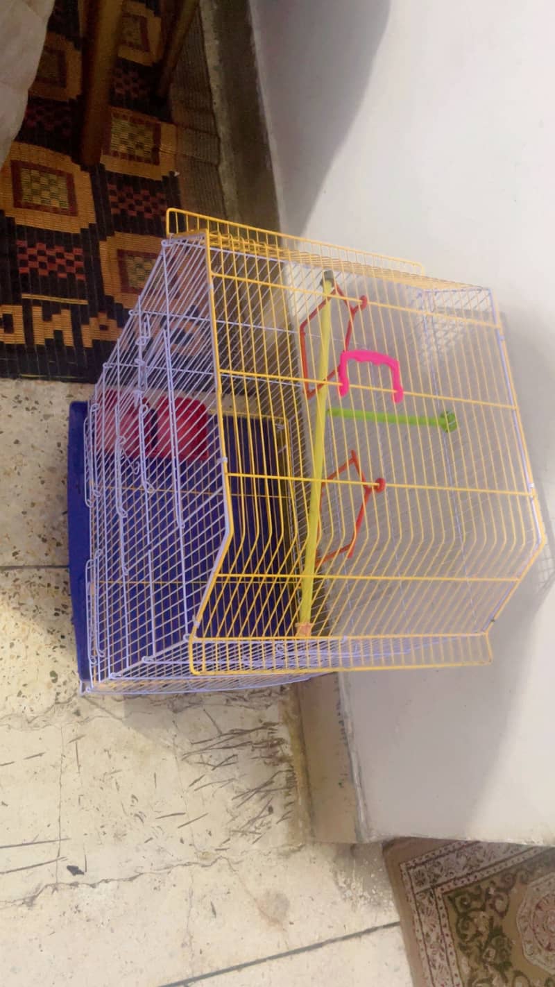 New Cage 0