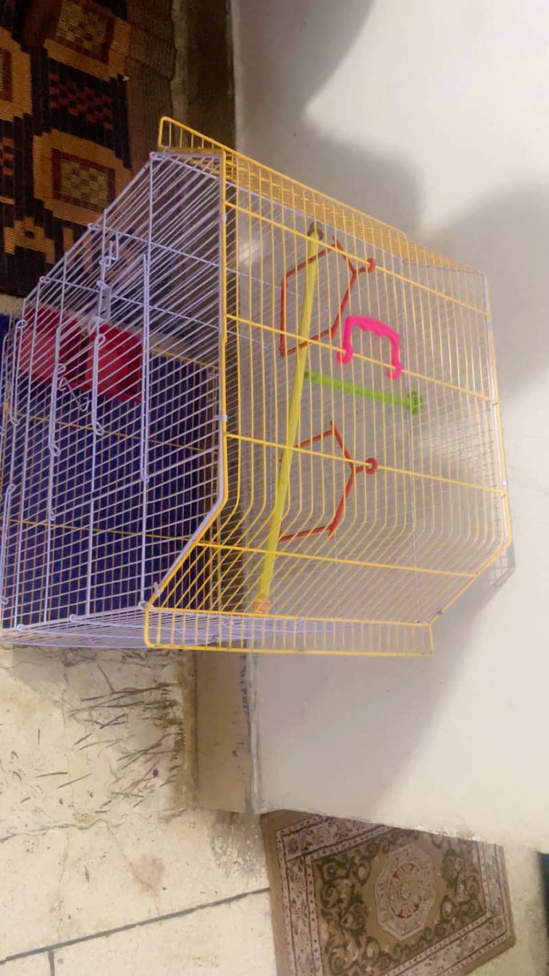 New Cage 1