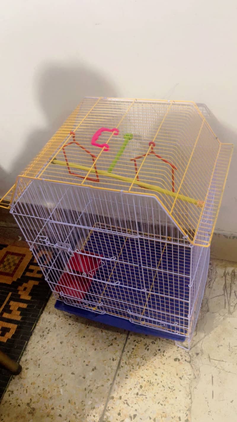 New Cage 2