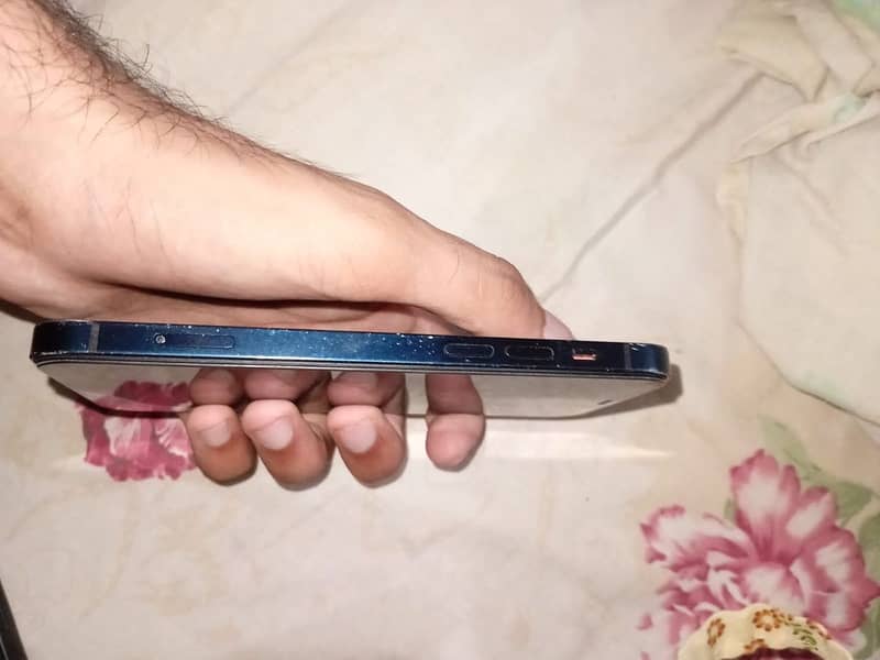 Apple iPhone 12 1