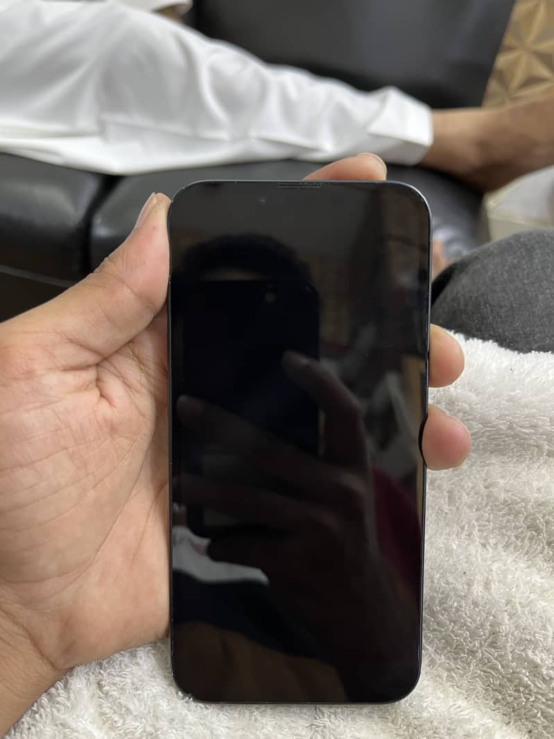 Apple iPhone 13 0