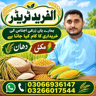 مکئی خریدار رابطہ کریں