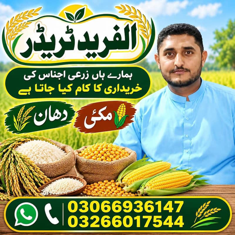 مکئی خریدار رابطہ کریں 0