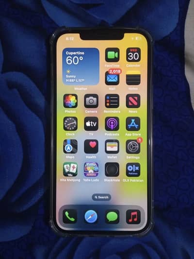 Apple iPhone 12 Pro Max