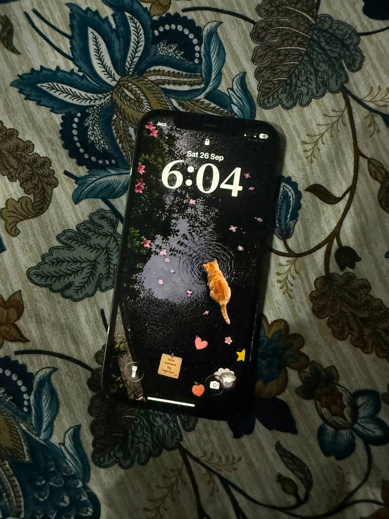 Apple iPhone 12 Pro 0