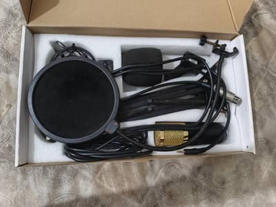 Professional Mic BM-800