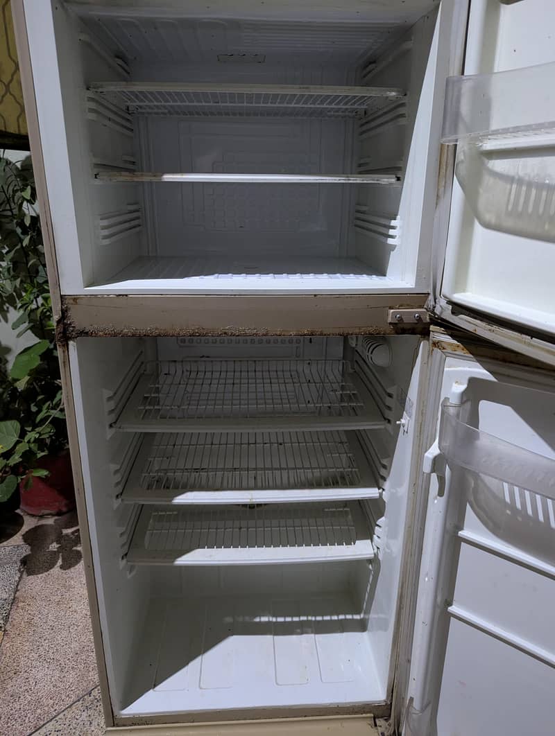 PEL fridge 1