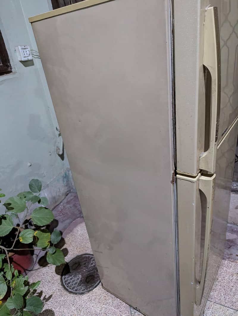 PEL fridge 2