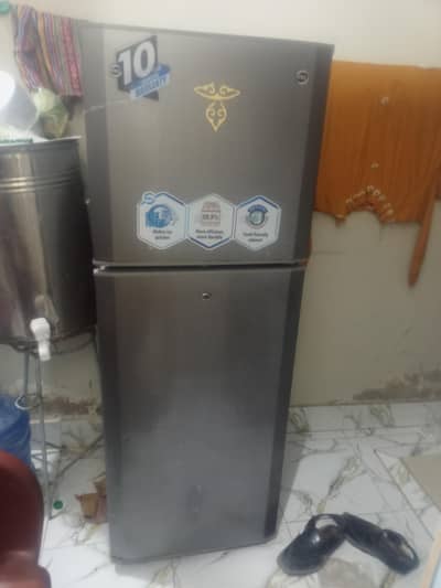 PEL Freezer 10 By 10 Candishion