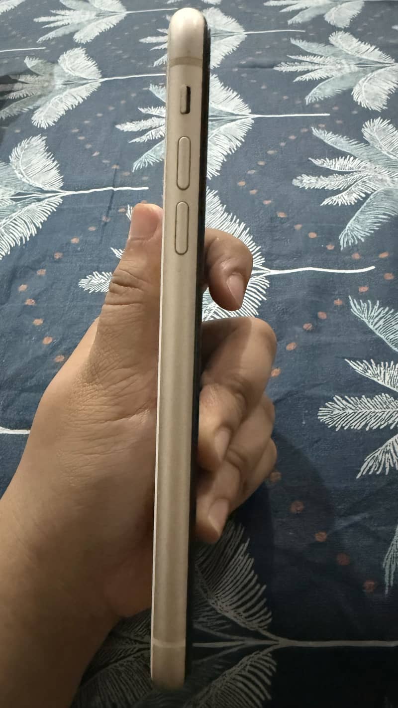 Apple iPhone 11 2