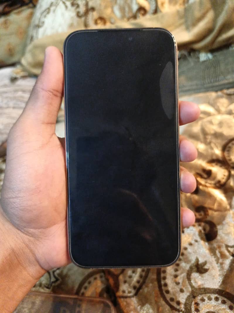 Apple iPhone 16 Pro Max 1