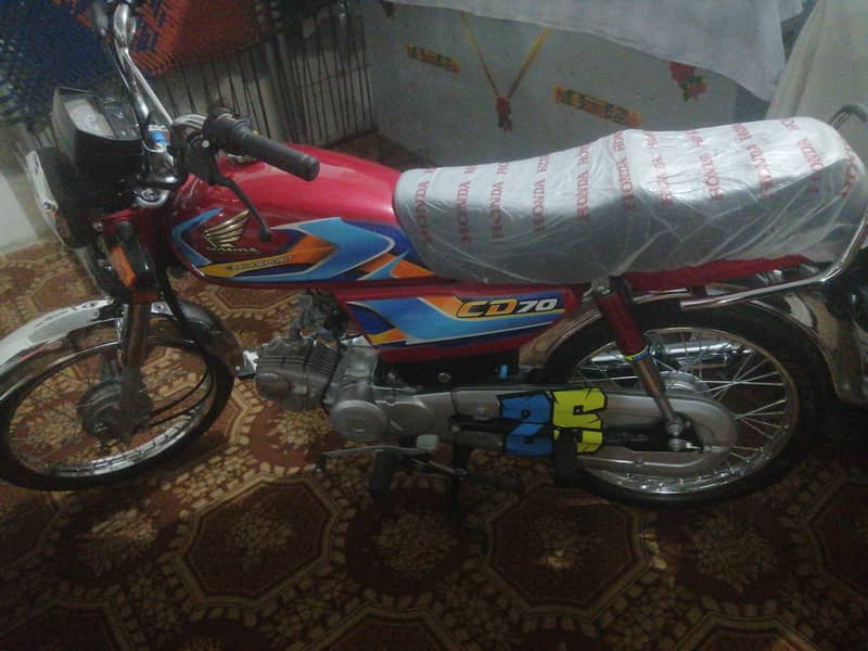 CD70 2026 Model 2