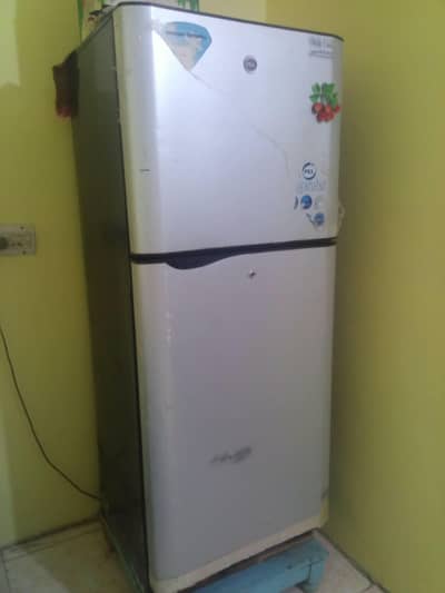 Pel jumbo fridge