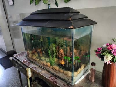 Fish Aquarium with all accessories for Sale