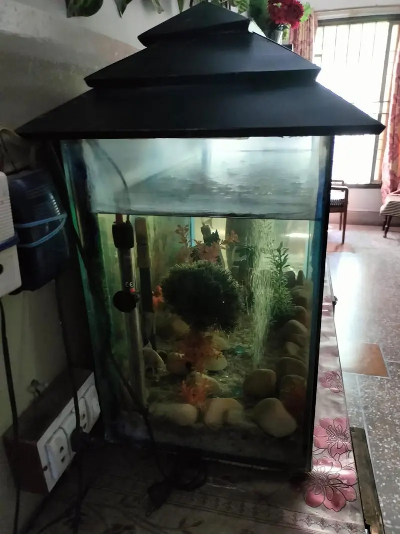 Fish Aquarium with all accessories for Sale — photo 2
