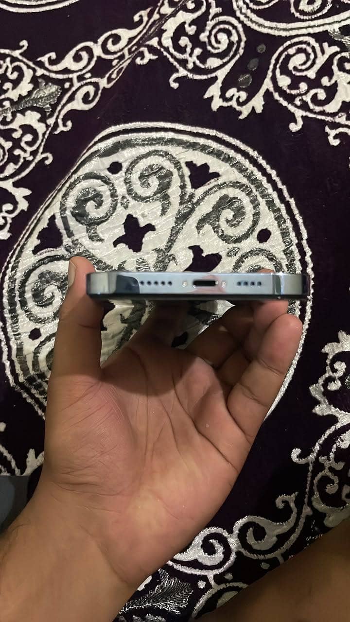 Apple iPhone 13 Pro Max 3