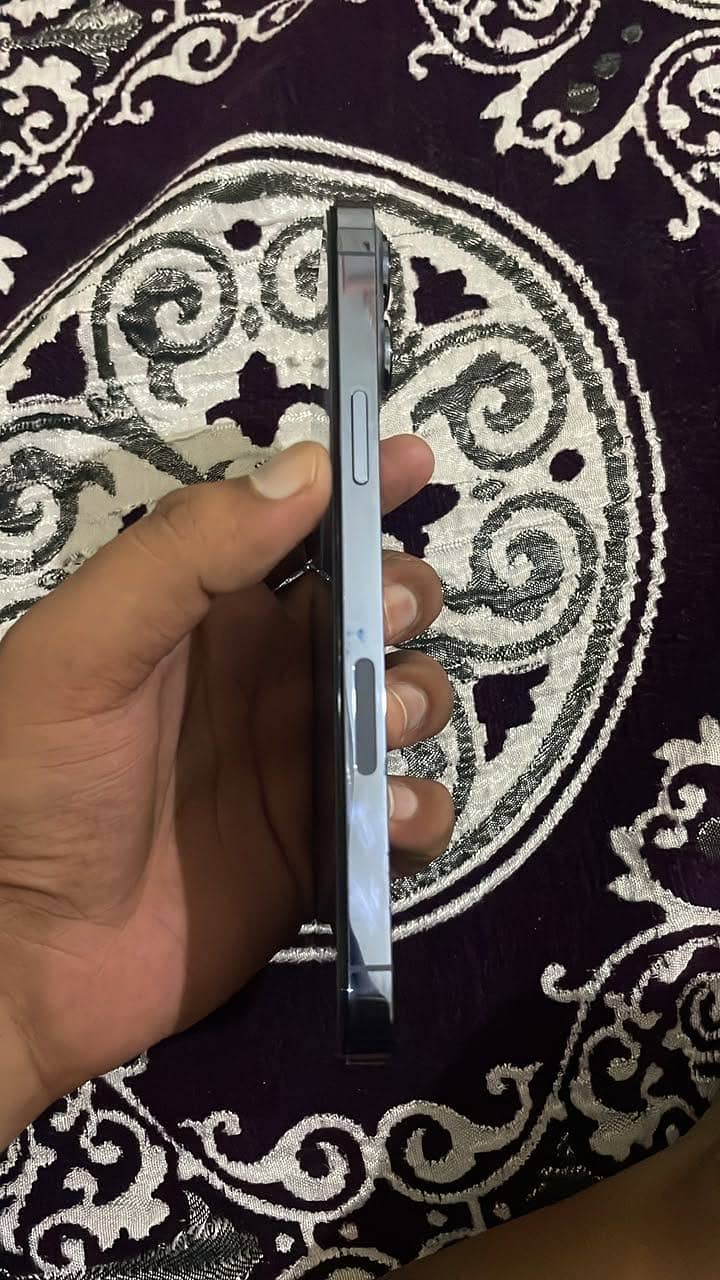 Apple iPhone 13 Pro Max 4