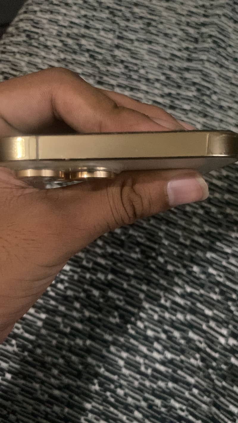 Apple iPhone 13 Pro Max 1