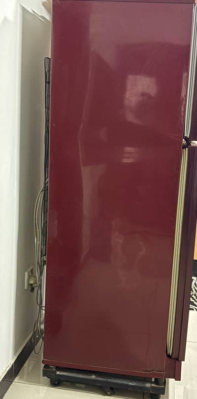 Fridge