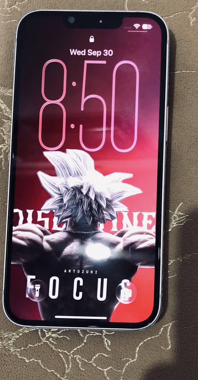 Apple iPhone 13 0