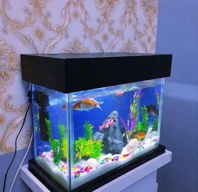fish aquarium in reasonable price 03047026440