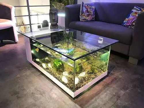 fish aquarium in reasonable price 03047026440 — photo 2