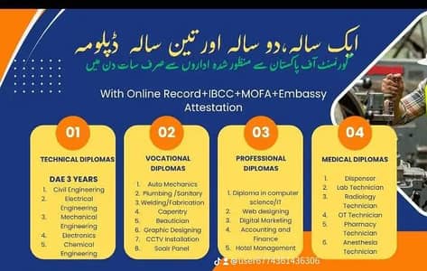 International courses
