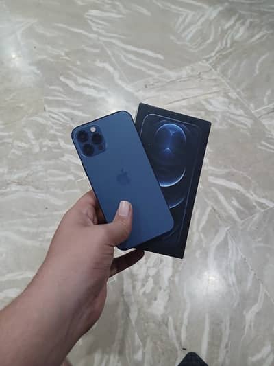 Apple iPhone 12 Pro seal phone