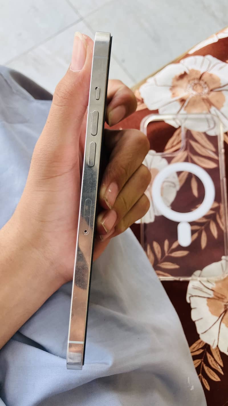 Apple iPhone 12 Pro Max 1
