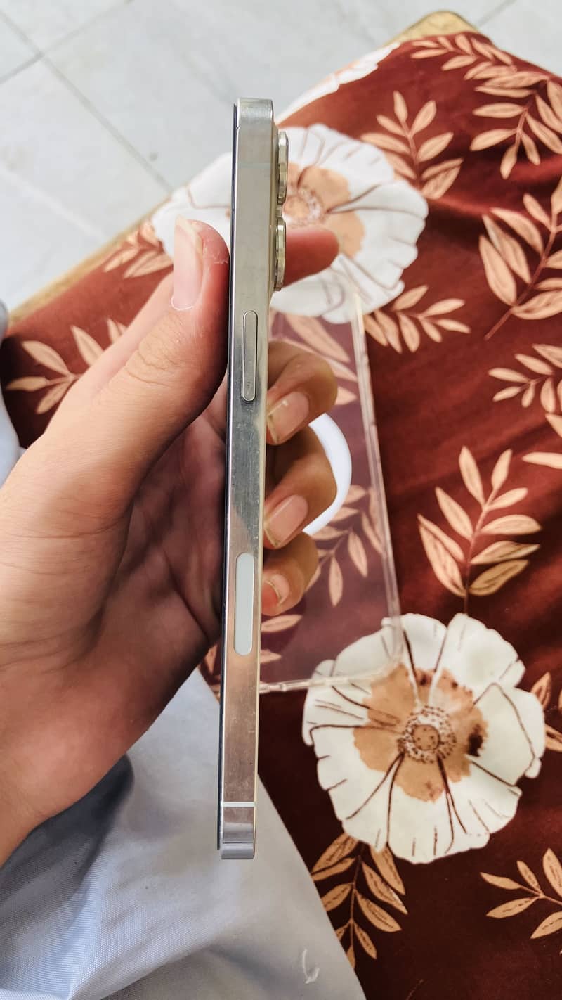 Apple iPhone 12 Pro Max 4
