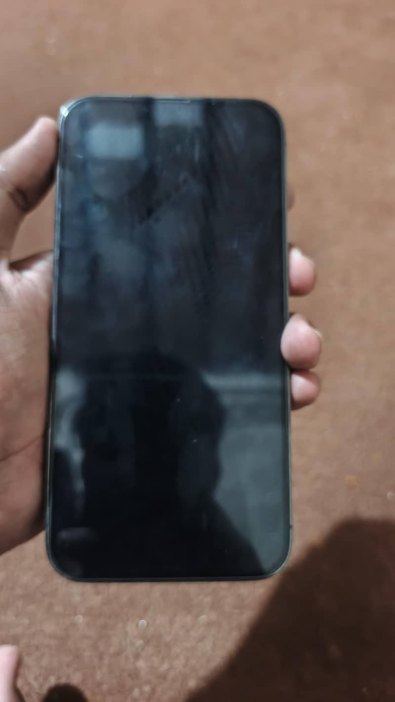 Apple iPhone 13 Pro Max 1