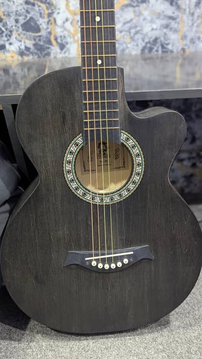acoustic professional guitar