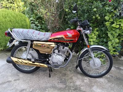 Honda Self start gold Edition 23/24 all Punjab Number