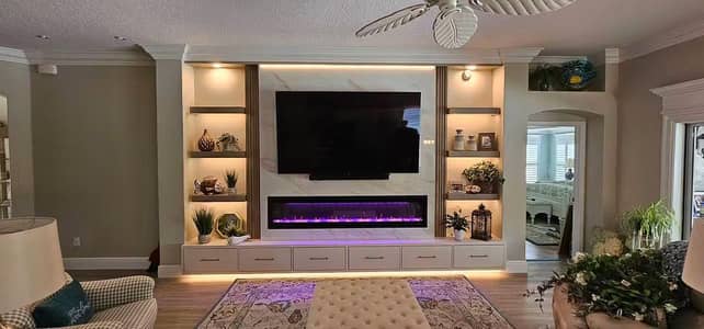Electric Fireplace and Gas Fireplace