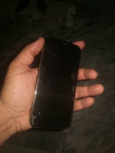 Apple iPhone 12 Pro