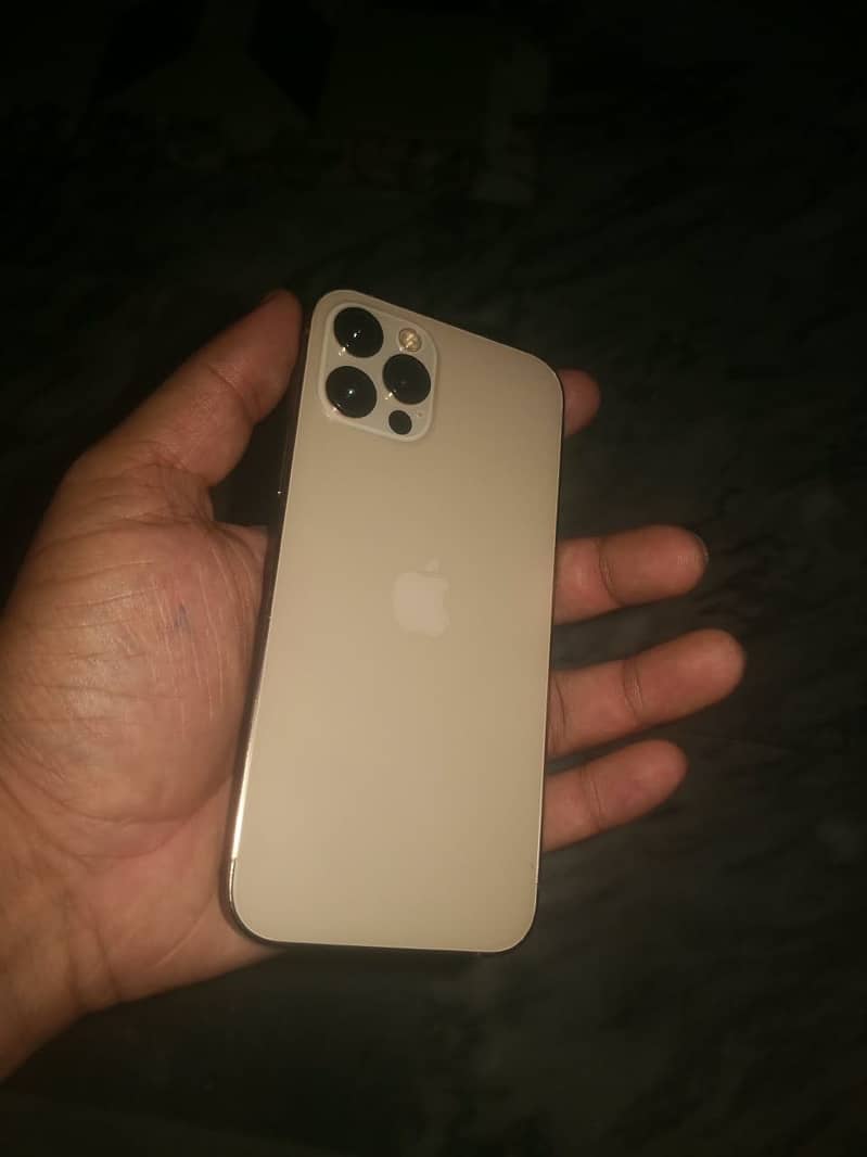 Apple iPhone 12 Pro 1