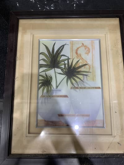 Paintings