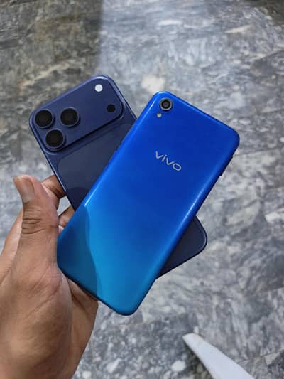 Vivo Y91 daul SIM PTA Approved