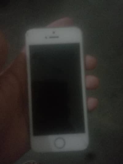 Apple iPhone 5s