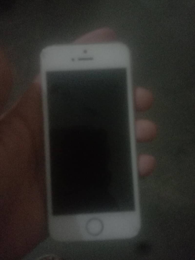 Apple iPhone 5s 0