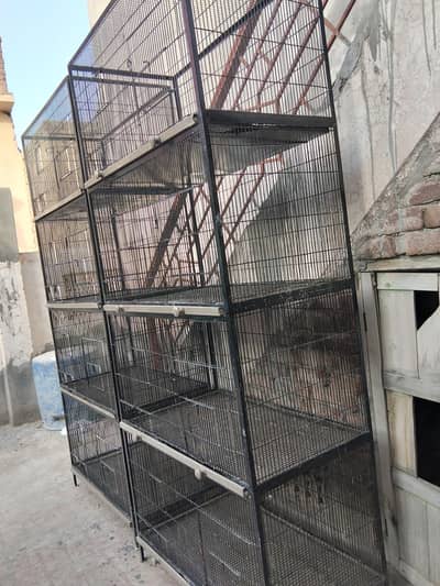 Iron cages