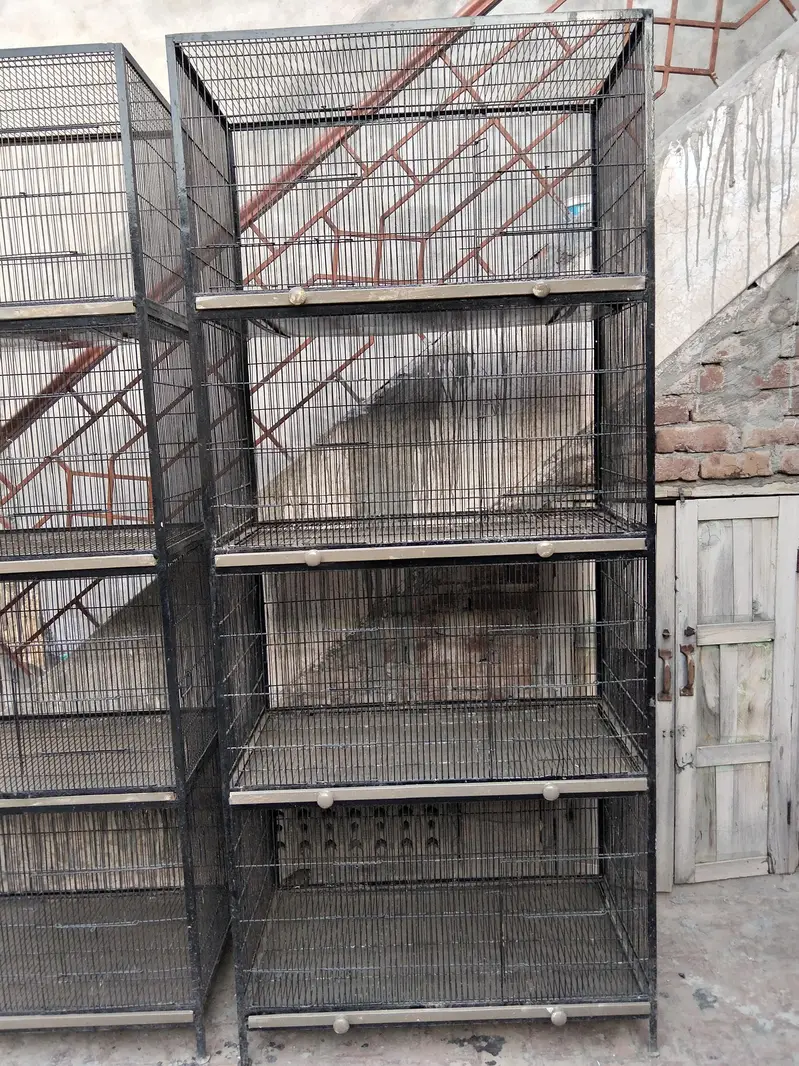 Iron cages — photo 2