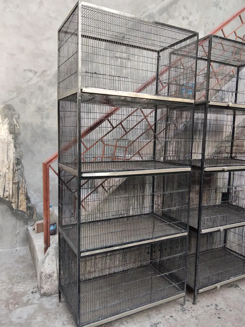Iron cages — photo 3