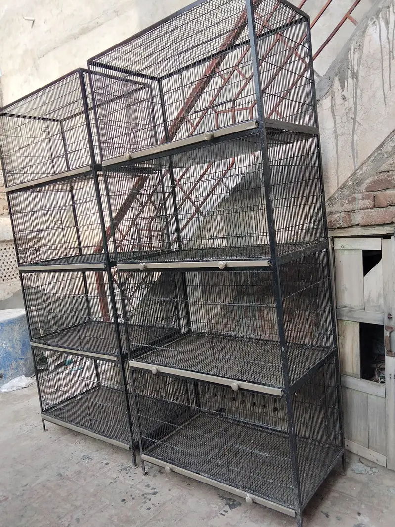 Iron cages — photo 4