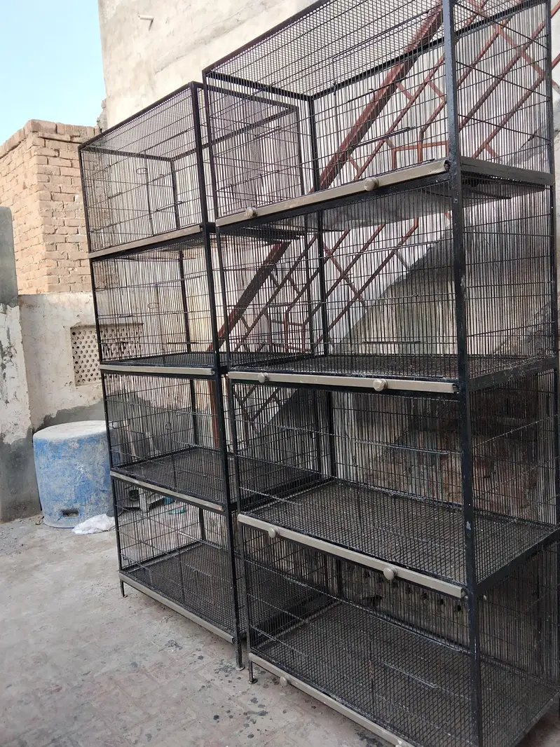 Iron cages — photo 5