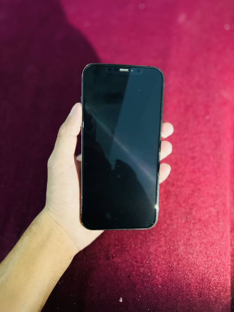 Apple iPhone 12 Pro Max 1
