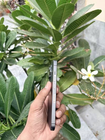 Factory Unlock Apple iPhone 13 Pro with sim time