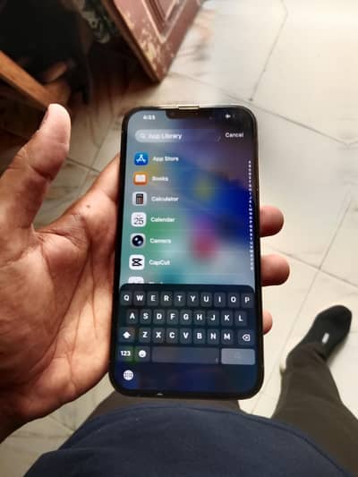 Apple iPhone 13 Pro Max