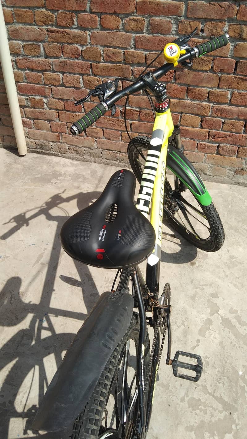bicycle begood 1