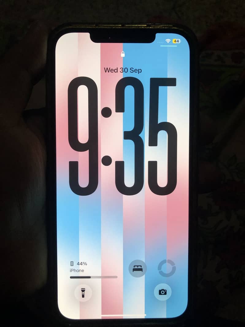 Apple iPhone 12 Pro Max 1